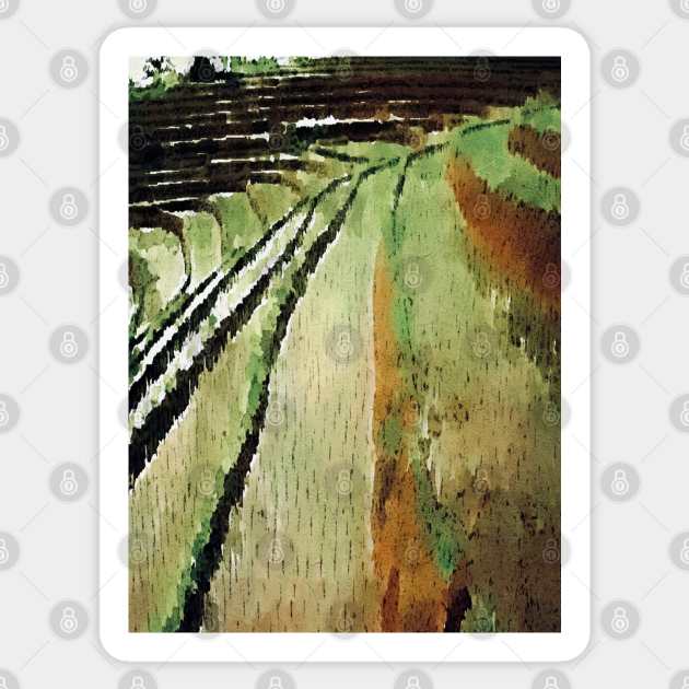 Terrace Paddy Fields watercolor Sticker by Banyu_Urip